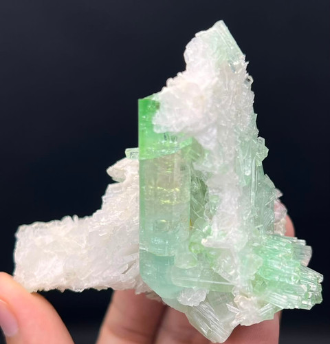 Exquisite tourmaline albite - tourmaline,