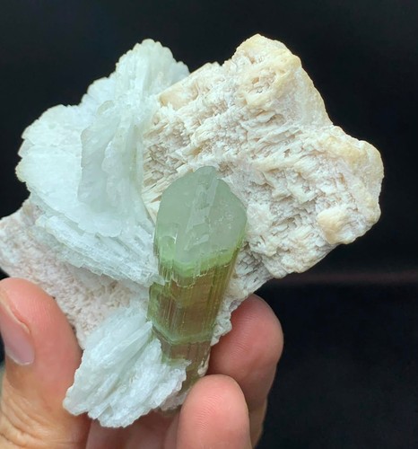 Exquisite tourmaline albite - exquisite,